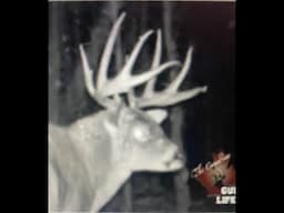 Guides go Hunting