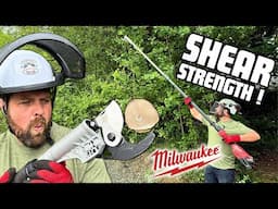 Is This The Safest Way To Prune at Height? We Test The Milwaukee BLTS!