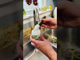 Gardening SHOCKER: Honey & Aloe Won't Root Your Plants!