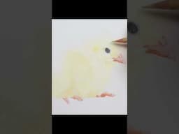 Drawing an Easter Chick - Part 1... Art Tips #coloredpencil #drawing #prismacolor #colorpencil