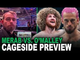 UFC 316 Cageside Preview