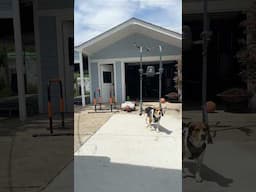 The Work Continues #calisthenics #workout