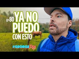 Casi RENUNCIO al Camino de Santiago 😰 George Harris | George Pop (Parte 4)