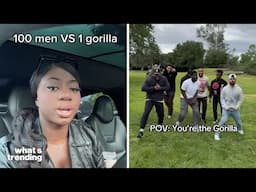 Experts Weigh In As MrBeast’s Tweet Sparks Viral '100 Man vs. Gorilla' Debate