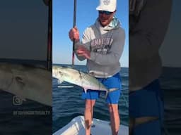 Reel Screaming Action! #piscifun #fishing #fishingwithsalty