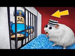 Cute Hamsters in the GIANT ROBLOX MAZE!