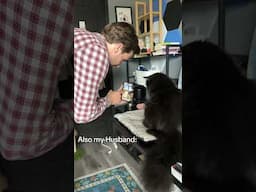 Caught Him! Husband HATES the Cat...