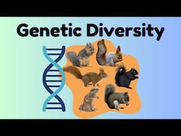 Genetic Diversity Explained 🧬 | Why It’s Vital for Species Survival and Ecosystem Health