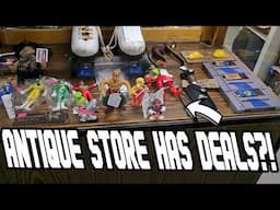Toy Collectors Go Toy Hunting...