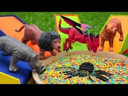 Surprise Toy Fun with Tiger, Lion, Rhino, Elephant & More | Fun Color and Kids Learning Video