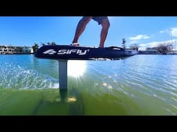 All New Efoils for Beginners & Budget Riders: SiFly Efoil 2025 Lineup Review