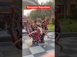 Rangeela Rajasthan #rajsthan #rajasthandance #shivkantgautam #travel #trending