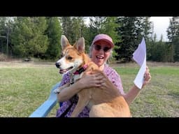 Ruby's DNA RESULTS  🐶  Drumroll, please! ~ Plus, more antics and discoveries!