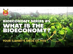The Bioeconomy Starts Here | RGE and the Bioeconomy