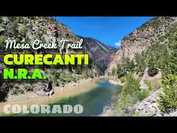 Mesa Creek Trail: Curecanti National Recreation Area