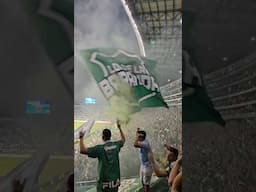 Las banderas ondean, las gargantas no descansan y cada latido retumba en Palmaseca.  #DeportivoCali