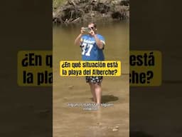 La playa del Alberche continúa recuperando su esplendor tras la #DANA