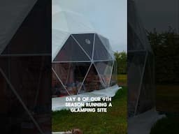 Day 8 is cladding the new dome and baking 8 cakes 🎂