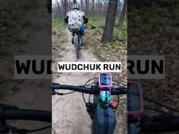 This might be my favorite trail in KC! #mtb wudchukrun #swope