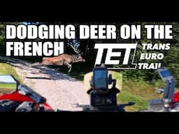Off-Road in FRANCE - TET Section 22 - Aprilia Tuareg