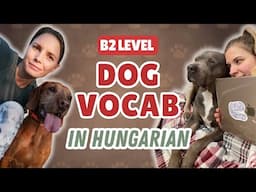 🇭🇺🐶 Chatting about our dogs with Csilla from Plain Hungarian [B2 - UPPER-INTERMEDIATE - w/Subs]