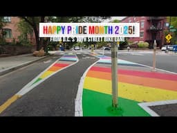 DC's 15th Street Protected Bike Lane Has Gone Fabulously Vibrant!