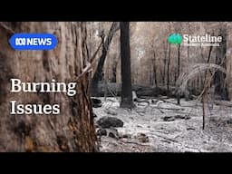 WA government steadfast on prescribed burns despite 'mass' tree felling | ABC News