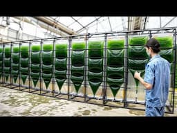 Most Satisfying Machines and Ingenious Tools