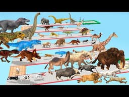 Which Animal vs Dinosaurs Speed Race Run Zigzag Maze Course! from Outside Animal Revolt Battle