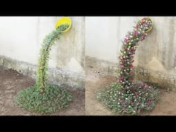 DIY Moss Rose Garden from Plastic Bottles | Balcony Gardening Ideas & Recycling Crafts