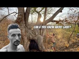 Can a tree know about grief?