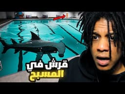Sharks and Minnows | انت معلق في مسبح مع سمكة قرش ولازم تحاول تهرب