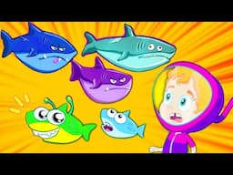Baby Shark & Mermaid Adventures 🌊🦈 | Underwater Songs + Beach Fun with Groovy!