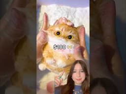 Reviewing VIRAL $100 TABA SQUISHIES! 😱😳🐈