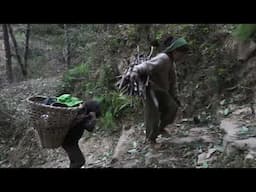 Traditional village working technology || Village documentary
