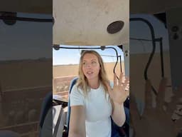 Planting day 3 - mistakes were made.. #farming #farm #newholland #farmlife #farmgirl