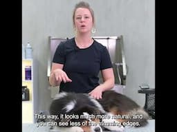Expert Tip by Ester Porteman - Scissoring Ears - Head over Tails