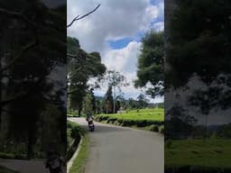 #shortvideo #alamindonesia #suasanaalamgarut #alampedesaan #sulingsunda