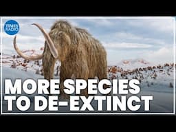 The future of de-extinction | The Story