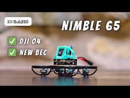 Sub250 Nimble 65 DJI O4 with new 1s BEC - An HD tiny whoop for beginners or IGOW pros!