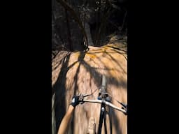 POV: Polygon Siskiu T9 Takes On the Trail 🚵‍♀️