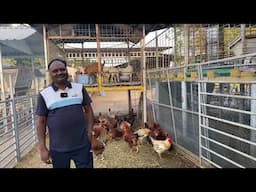 ஆடு வளர்ப்பில் கூடுதல் வருமானம் பெற । Additional income from goat farms