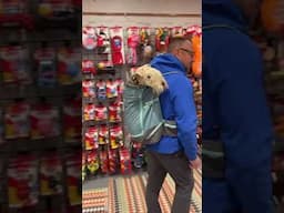 Did you know the NEW Hitch Hiker Pack can be found at many of your nearby Ruffwear retailers? 🛍️