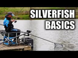 Silverfish Basics | Lee Newson
