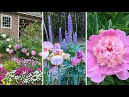 Early June Garden Tour New Hampshire Zone 5