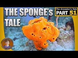 The Sponge's Tale
