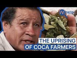 Coca In The Andes: War On Drugs Or War Against Indigenous People? | Witness | Cocaine Documentary