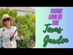 Tough Love In The Garden  Taming your Plants