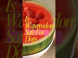 Is Watermelon Safe For Dogs #dogs