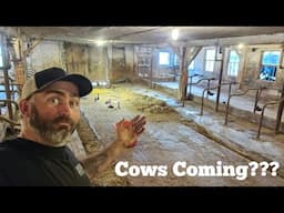 It Is Time To Modify The Barn To Milk Cows